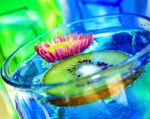 Blue Kiwi Drink / Photographer, D. Sharon Pruitt