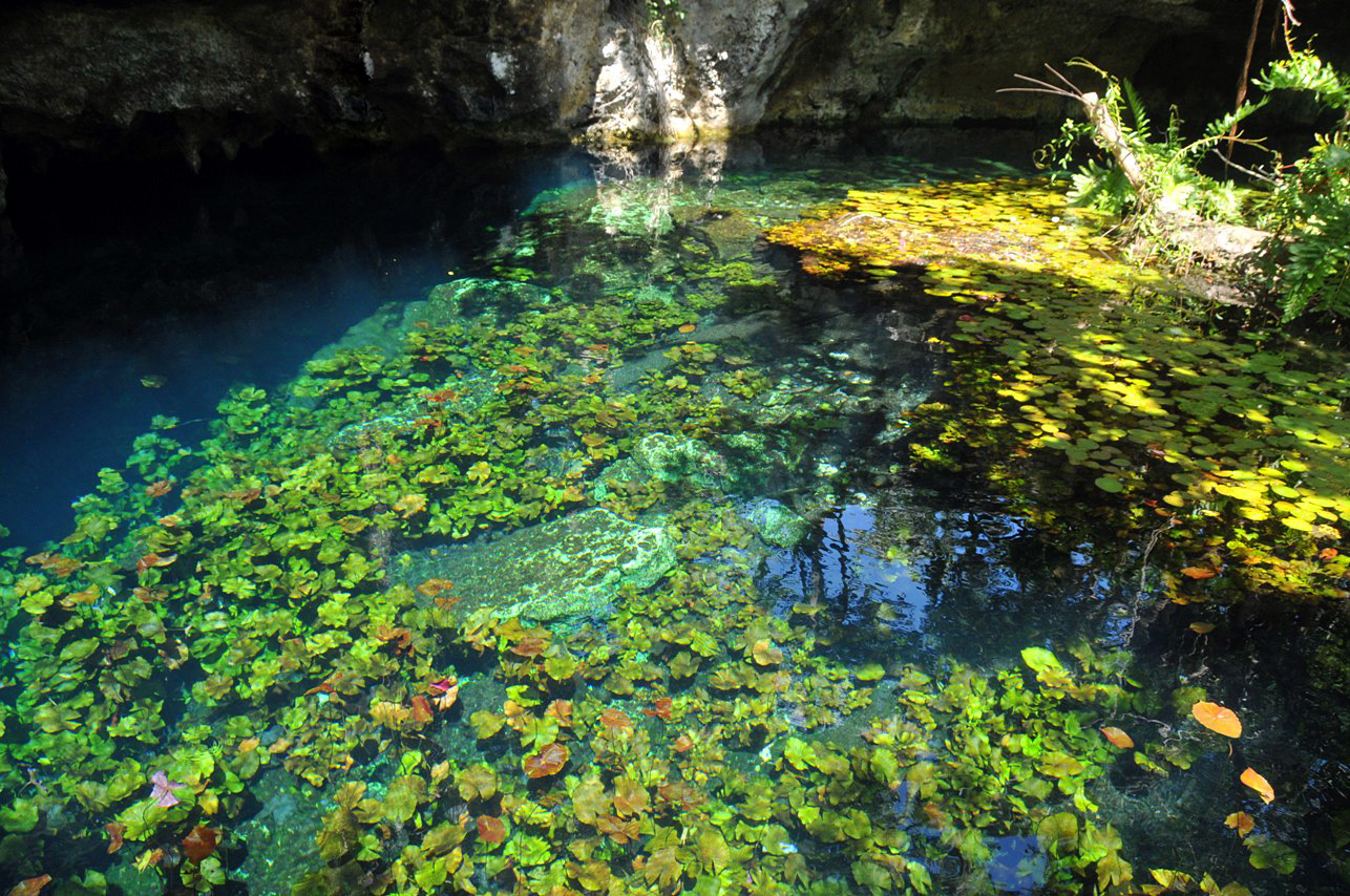 Grand Cenote, Tulum, Mexico by anjči CC 2.0