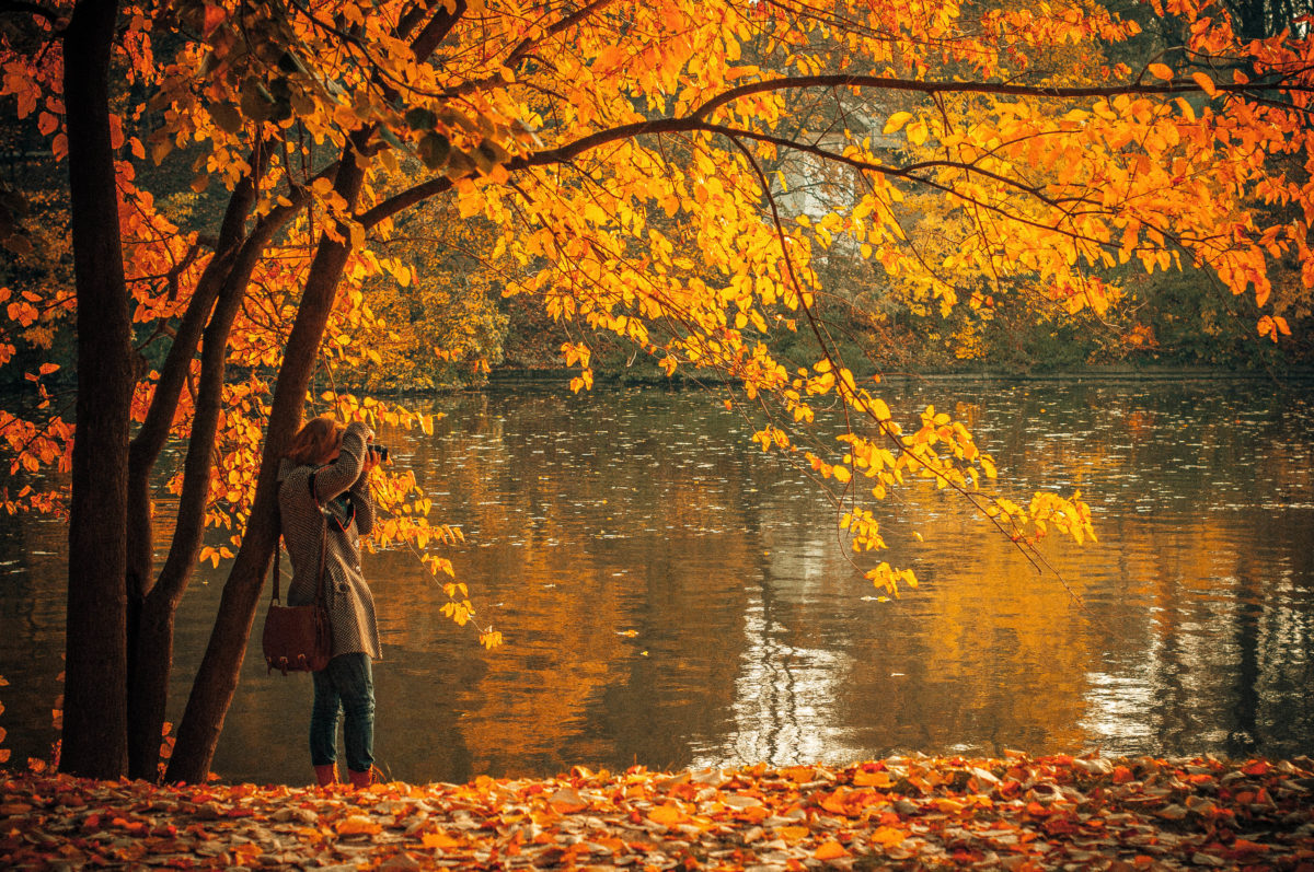 Woman photographing Fall foilage / Unsplash.com CC0 License