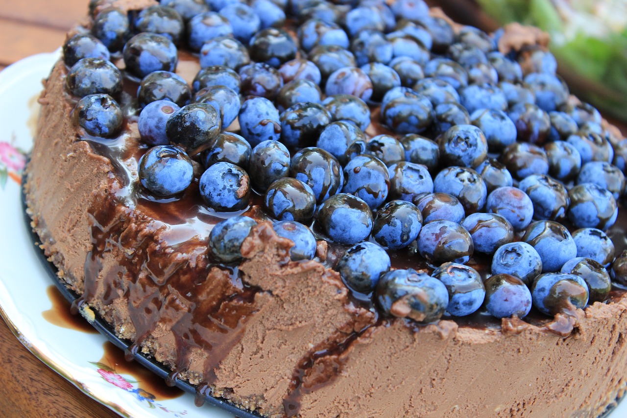 Chocolate Cheesecake with blueberry topping / artij CC0