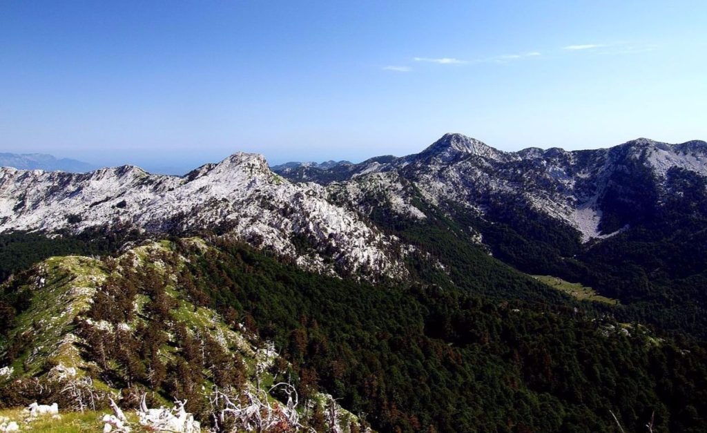 North side of Orjen in the Dinarides mountains / Pavle Cikovac CC BY-SA 3.