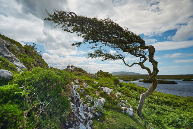 Connemara, on the west coast of Ireland, in County Galway / Image: Big Smoke Studio