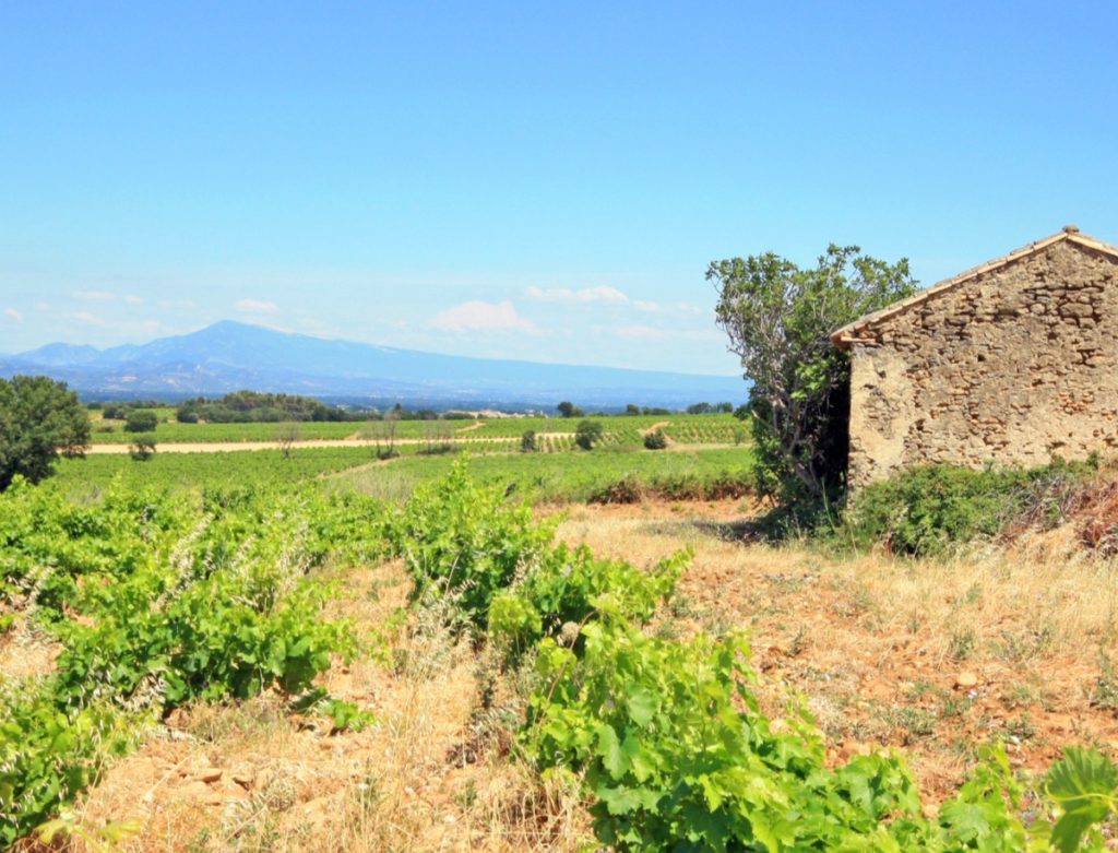 Châteauneuf du Pape, France / Image: Philo_Photos, Deposit Photos