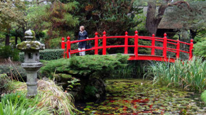 The Irish National Stud Farm & Japanese Gardens