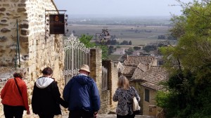 How to find the perfect wine tour