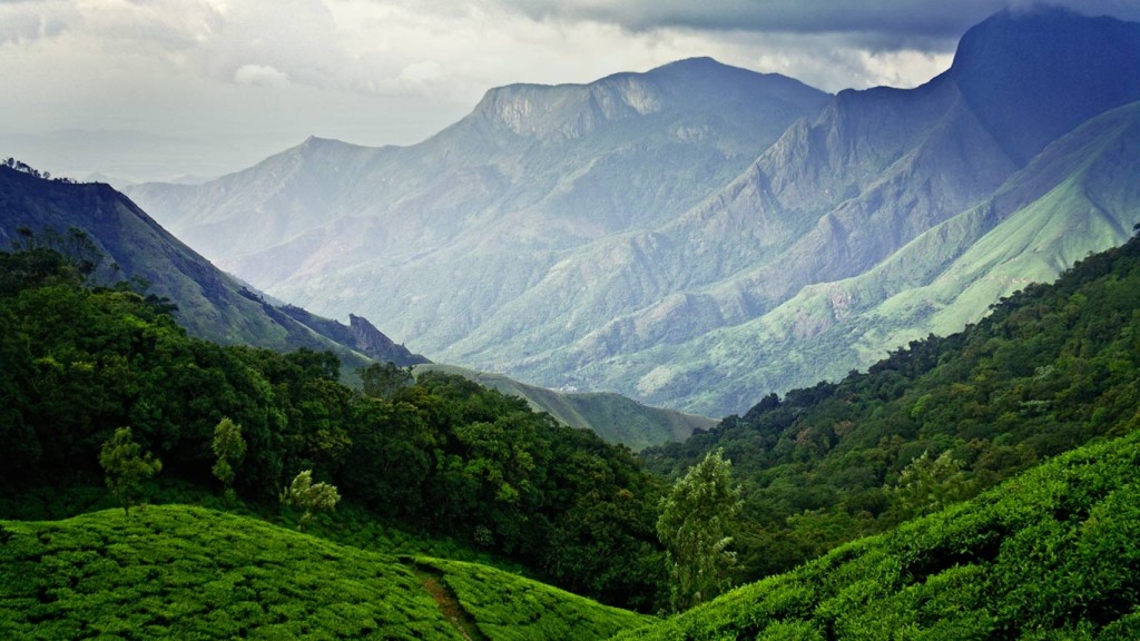 Tea plantation view in Munnar – Photo by himanisdas, CC BY-SA 2.0