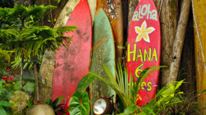 Top 10 things you’ll want to do in Maui