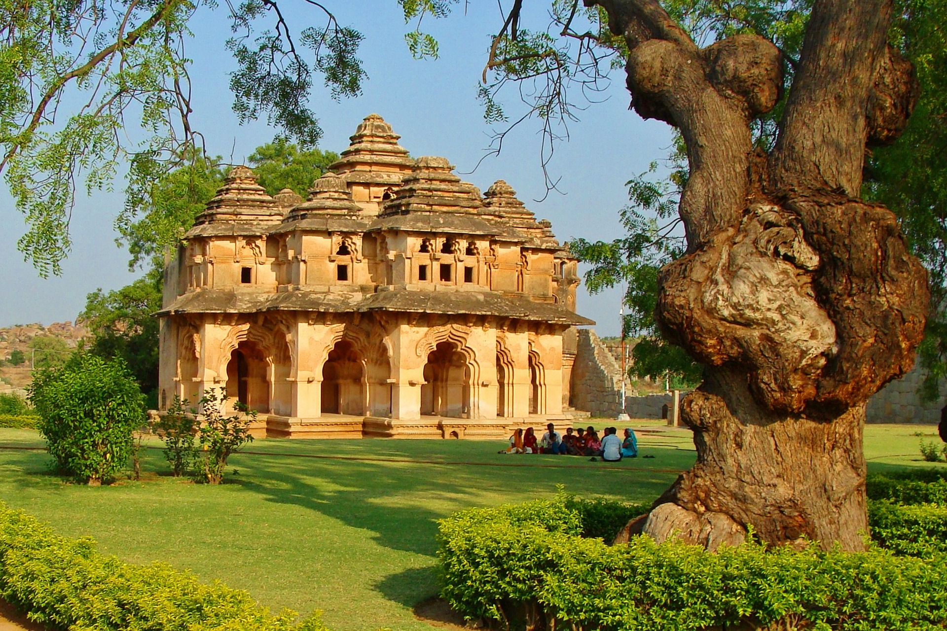 Lotus mahal, Photo by sarangib, CC0 1.0