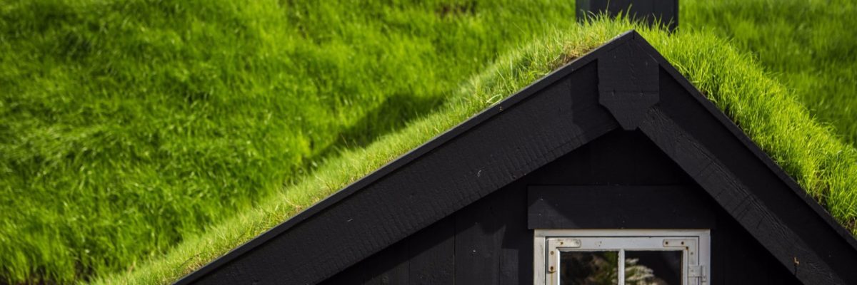 Roofs with grass in the Faroe Islands / Deposit Photos