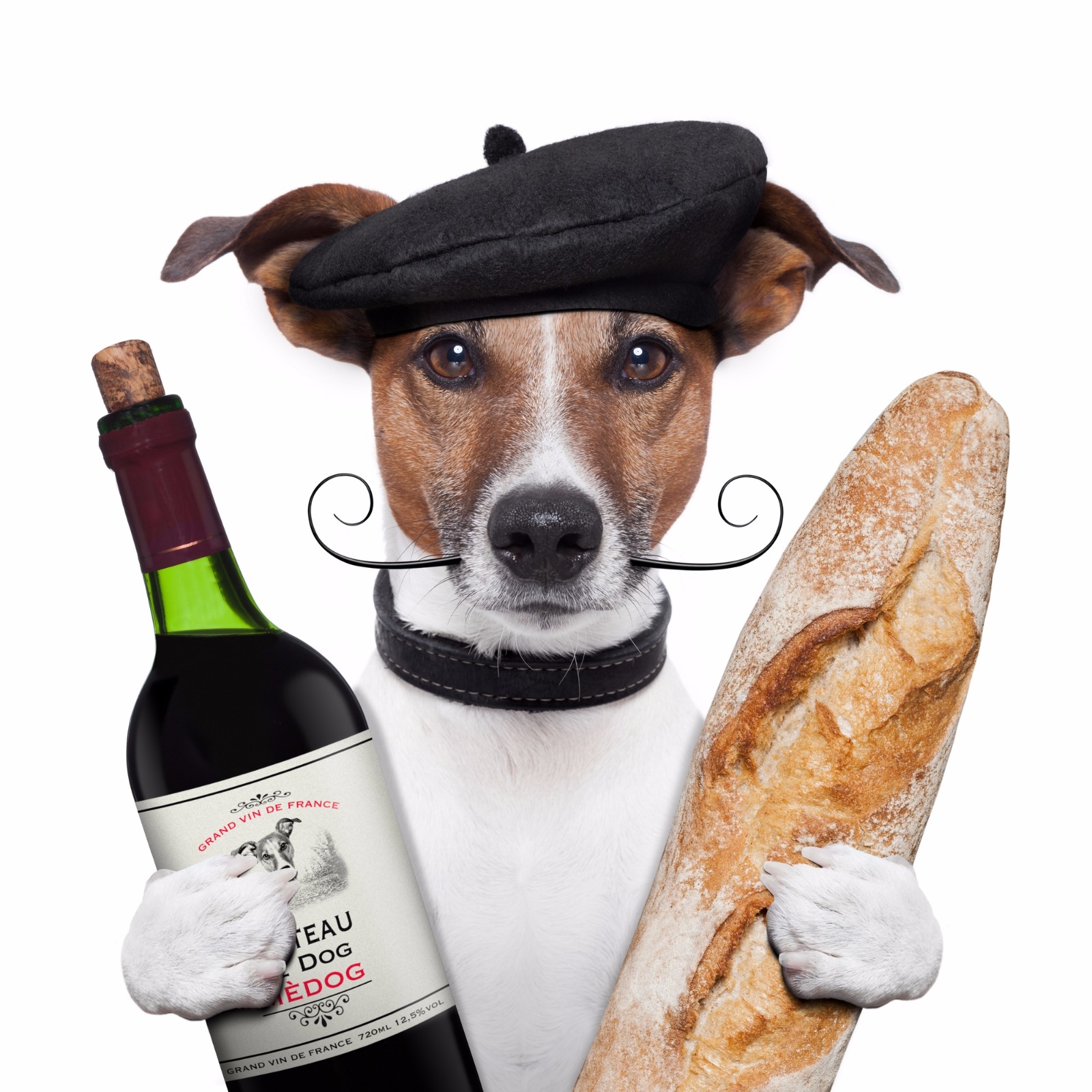 Dog dressed as chef holding French wine and a baguette / Image: Deposit Photos