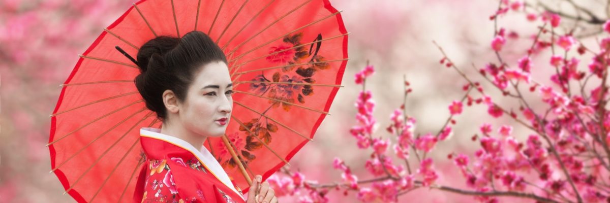 Geisha with pink umbrella, standing beneath a cherry blossom tree in Japan. Image by rod_julian