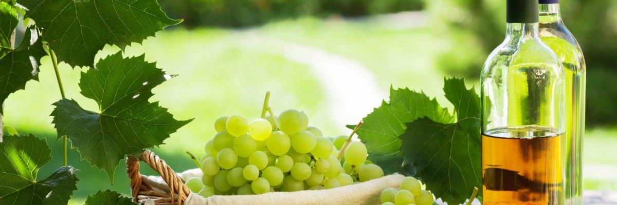 White wine and grapes on garden table in Italy/ karandaev