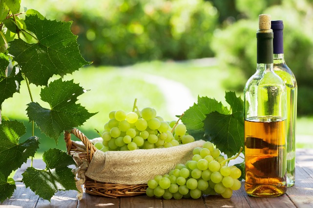 White wine and grapes - Italy's authentic cuisine