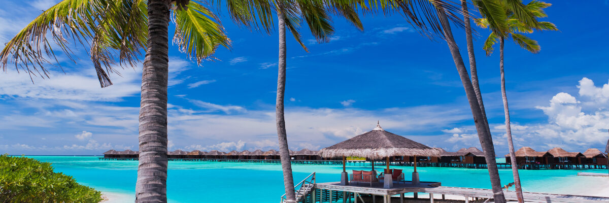 Hammock on a white sand beach in Jamaica by mvaligurksy