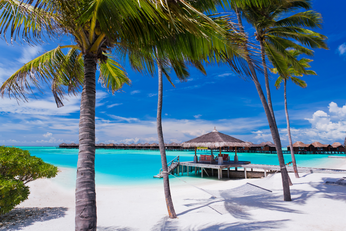 Hammock on a white sand beach in Jamaica by mvaligurksy